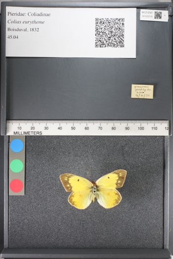 Media type: image;   Entomology 123715